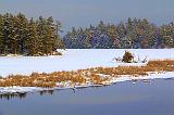 Loon Lake_05181